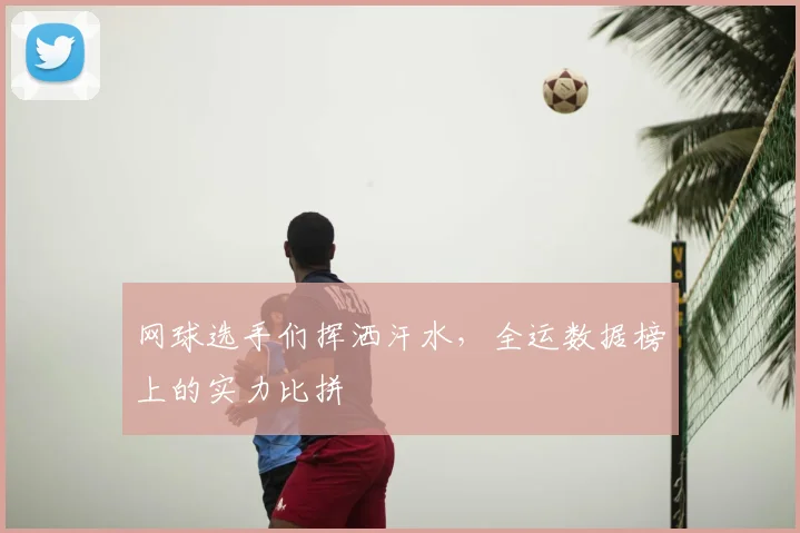 网球选手们挥洒汗水，全运数据榜上的实力比拼